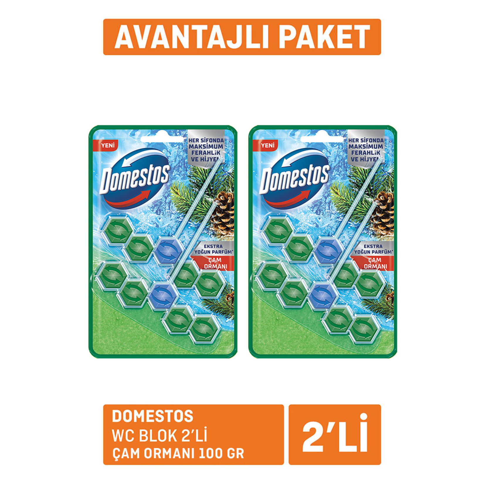 Domestos Wc Blok 2'li Çam Ferahlığı 2x100 G - Görsel 1