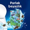 Domestos Wc Blok 2'li Çam Ferahlığı 2x100 G - Görsel 3