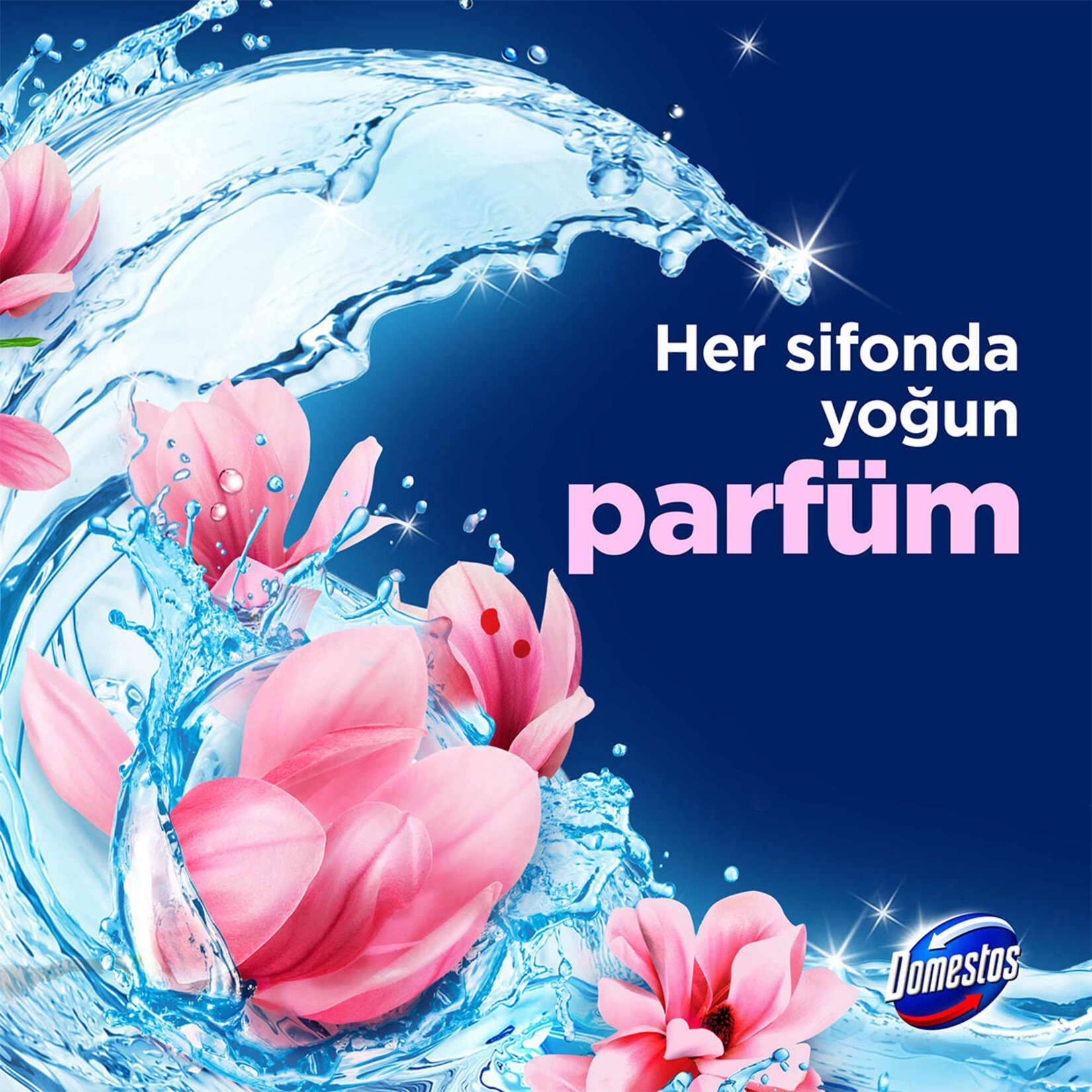 Domestos Wc Blok 2'li Manolya 2x100 G - Görsel 4