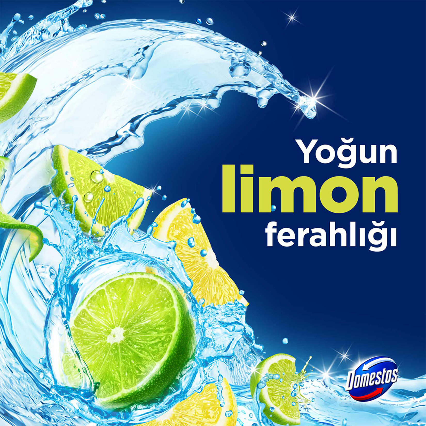 Domestos Wc Blok Limon 2 x 50 G - Görsel 4