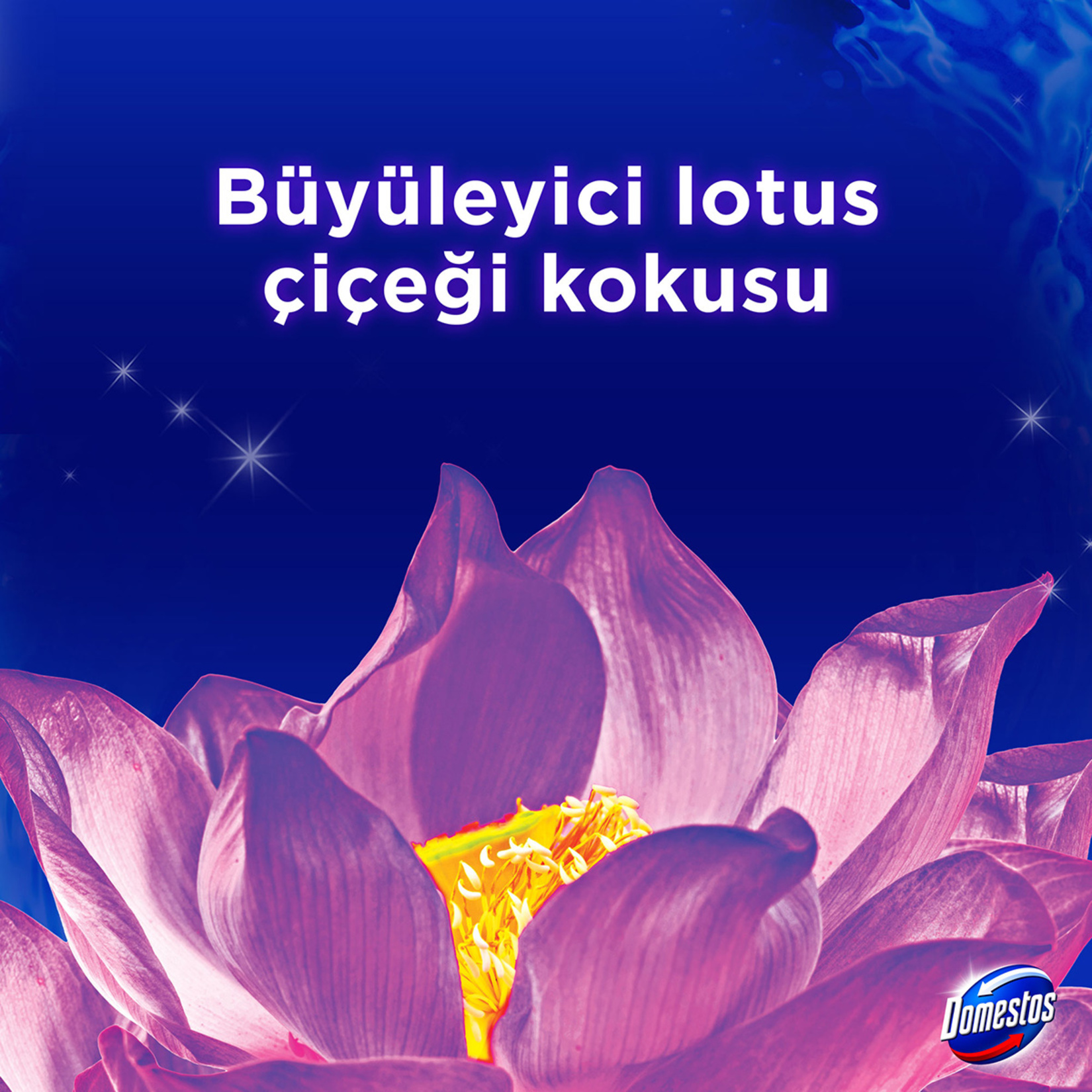 Domestos Wc Blok Lotus 2 x 50 G - Görsel 4