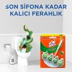 Mr. Muscle Active Clean Klozet Blok Çam Kokulu 38.6g - Görsel 5