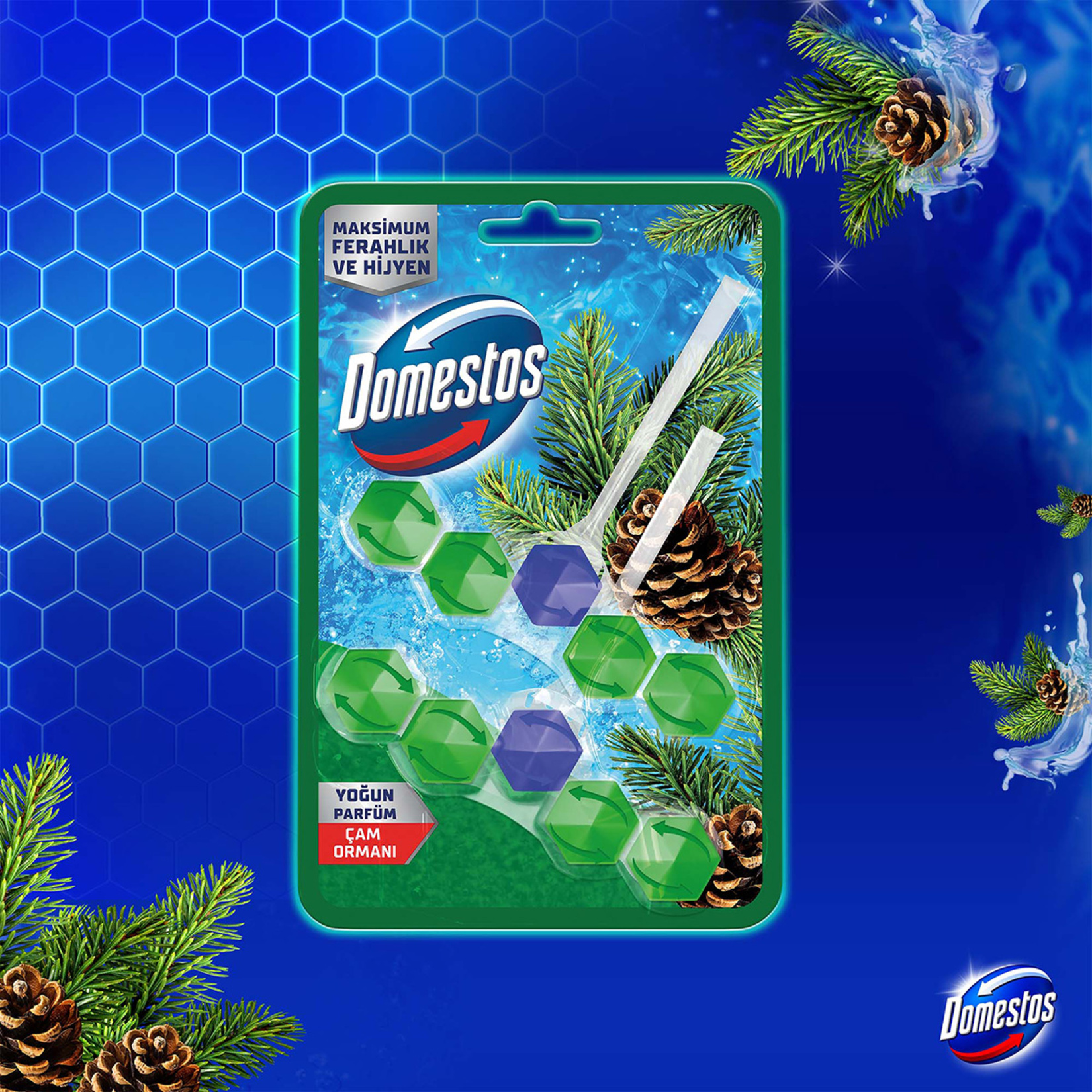 Domestos Wc Blok Çam Ferahlığı 2 x 50 G - Görsel 3