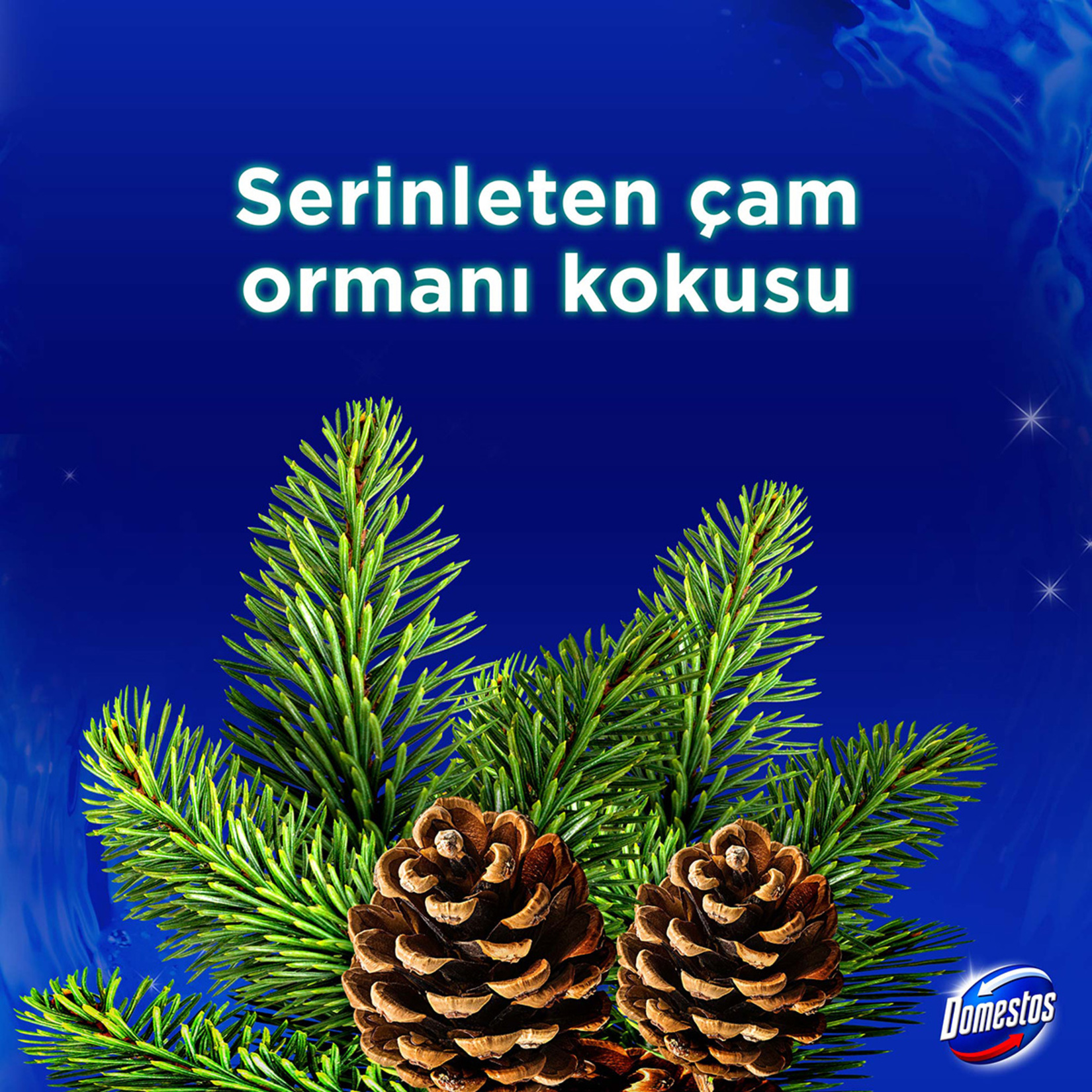 Domestos Wc Blok Çam Ferahlığı 2 x 50 G - Görsel 4