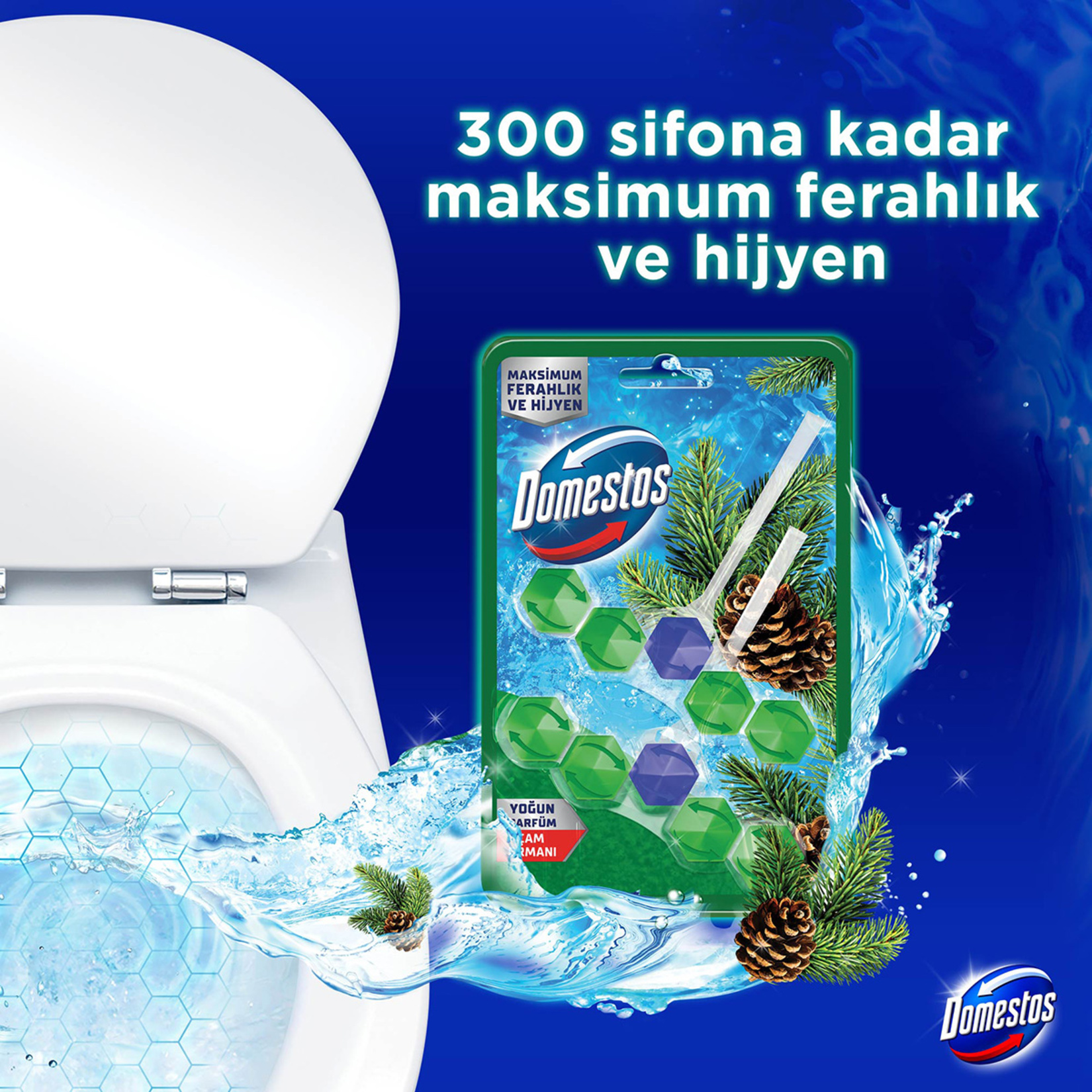 Domestos Wc Blok Çam Ferahlığı 2 x 50 G - Görsel 5