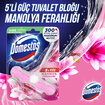 Domestos WC Blok 5'li Güç Manolya Ferahlığı 50 G - Görsel 3