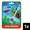 Domestos Wc Blok Çam Ferahlığı Tekli 50 G - Görsel 2