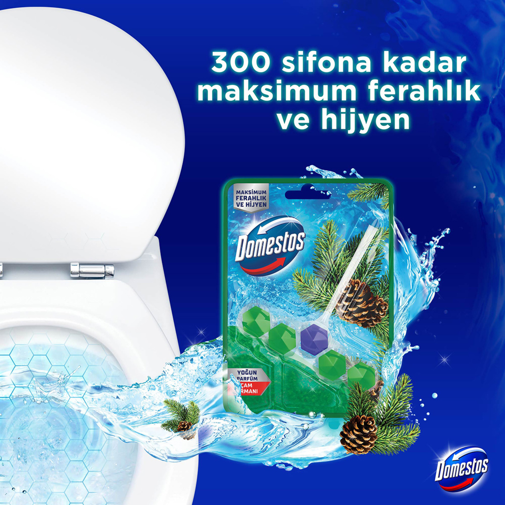 Domestos Wc Blok Çam Ferahlığı Tekli 50 G - Görsel 5
