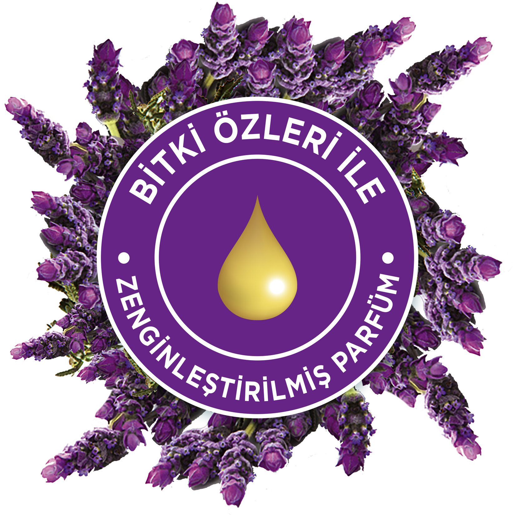 Glade Otomatik Sprey Yedek Lavanta 269 Ml - Görsel 3