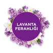 Glade Banyo Hava Tazeleyici Yedek Lavanta Ferahlığı 10ml - Görsel 3