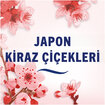 Febreze Aerosol Japon Kiraz Çiçeği 185 Ml - Görsel 7
