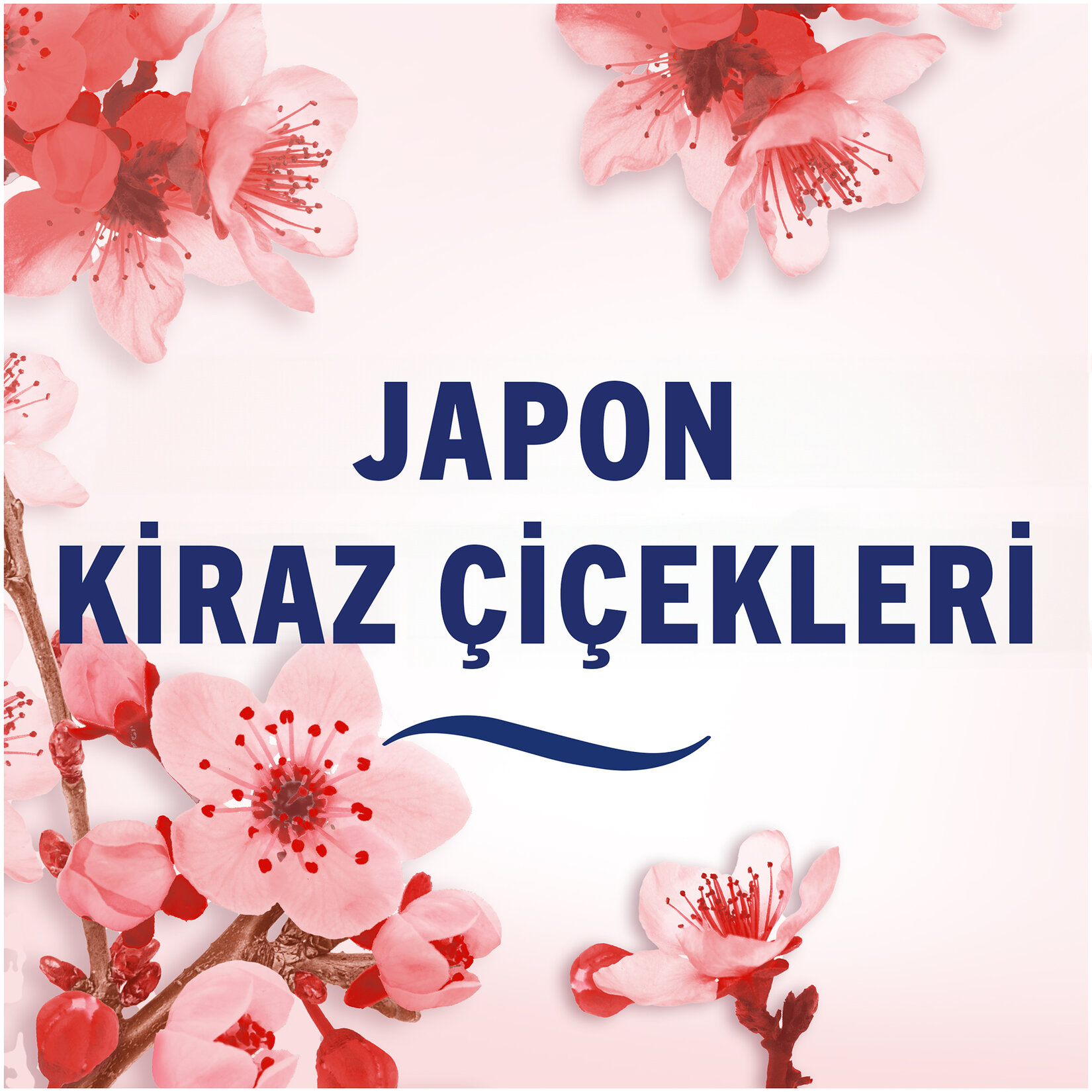 Febreze Aerosol Japon Kiraz Çiçeği 185 Ml - Görsel 7