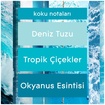 Glade Multi Spray Oknayus 450 Ml - Görsel 5
