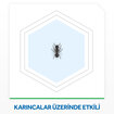 Raid Karınca Yemi 2'li Her Tablet ile 3 Ay Koruma - Görsel 3