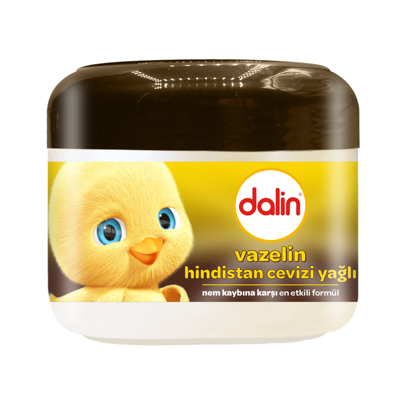 Dalin Hindistan Cevizi Yağlı Vazelin 100 Ml