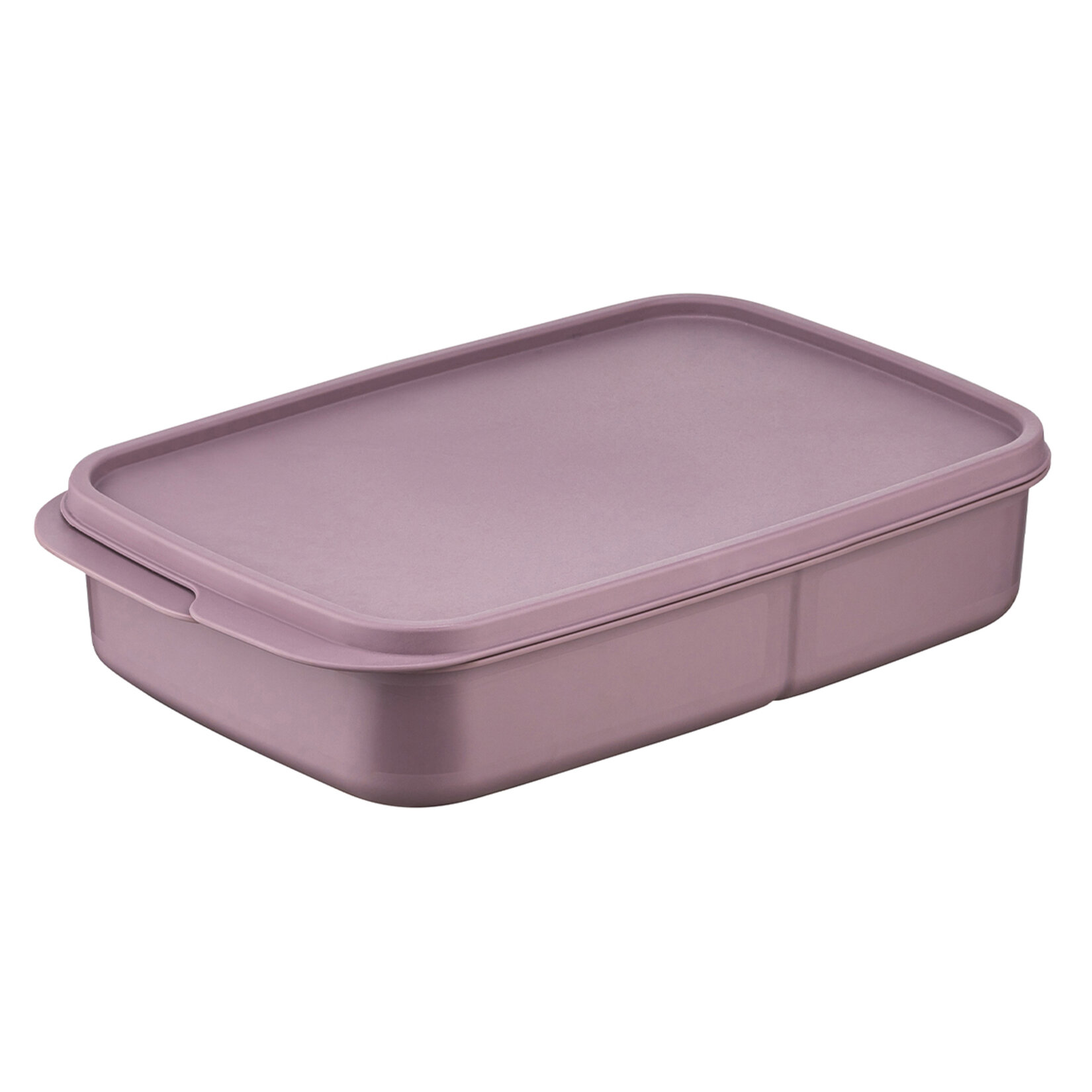 Bee Home Bölmeli Büyük Dikdörtgen Saklama Kab 1.1L