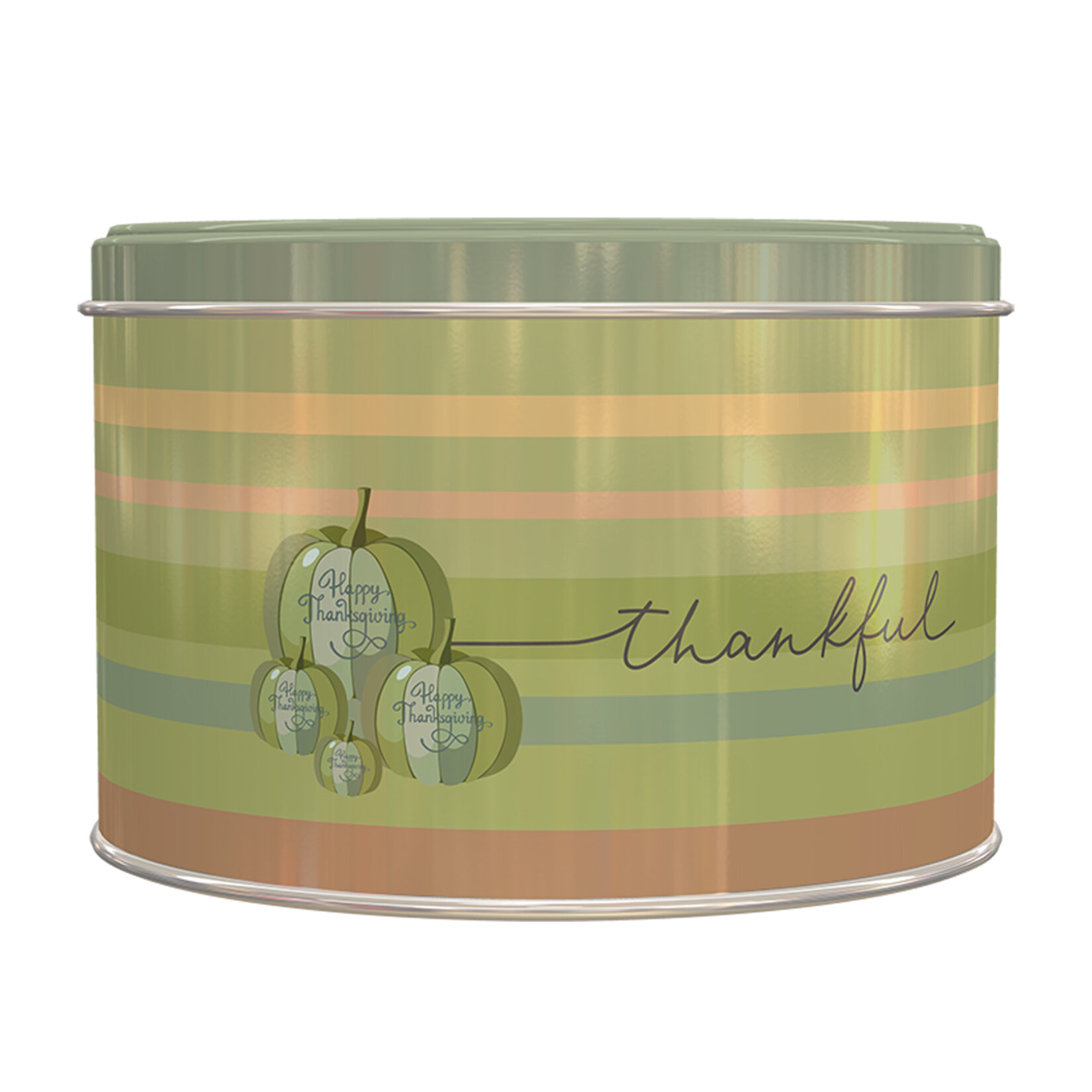 Sarkap Home Desenli Metal Saklama Kutusu 19-12 Cm