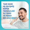 Sensodyne Promine Aktif Diş Minesi Kalkanı Nane 75 Ml - Görsel 5