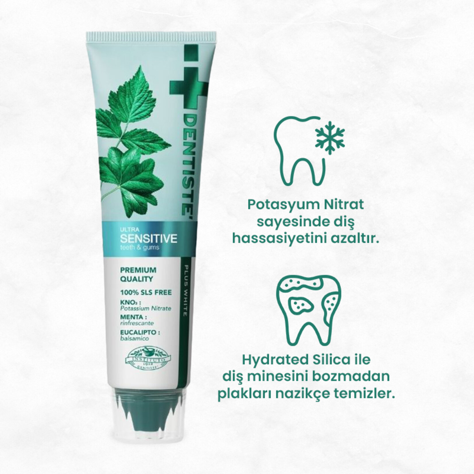 Dentıste Nıghttıme Sensıtıve Hassa.Diş Macunu 100G - Görsel 3