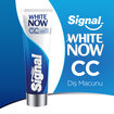 Sıgnal Whıte Now Cc Macun 75 Ml - Görsel 3
