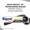 Sıgnal Nat.Elements Macun Charcoal 75 Ml - Görsel 3
