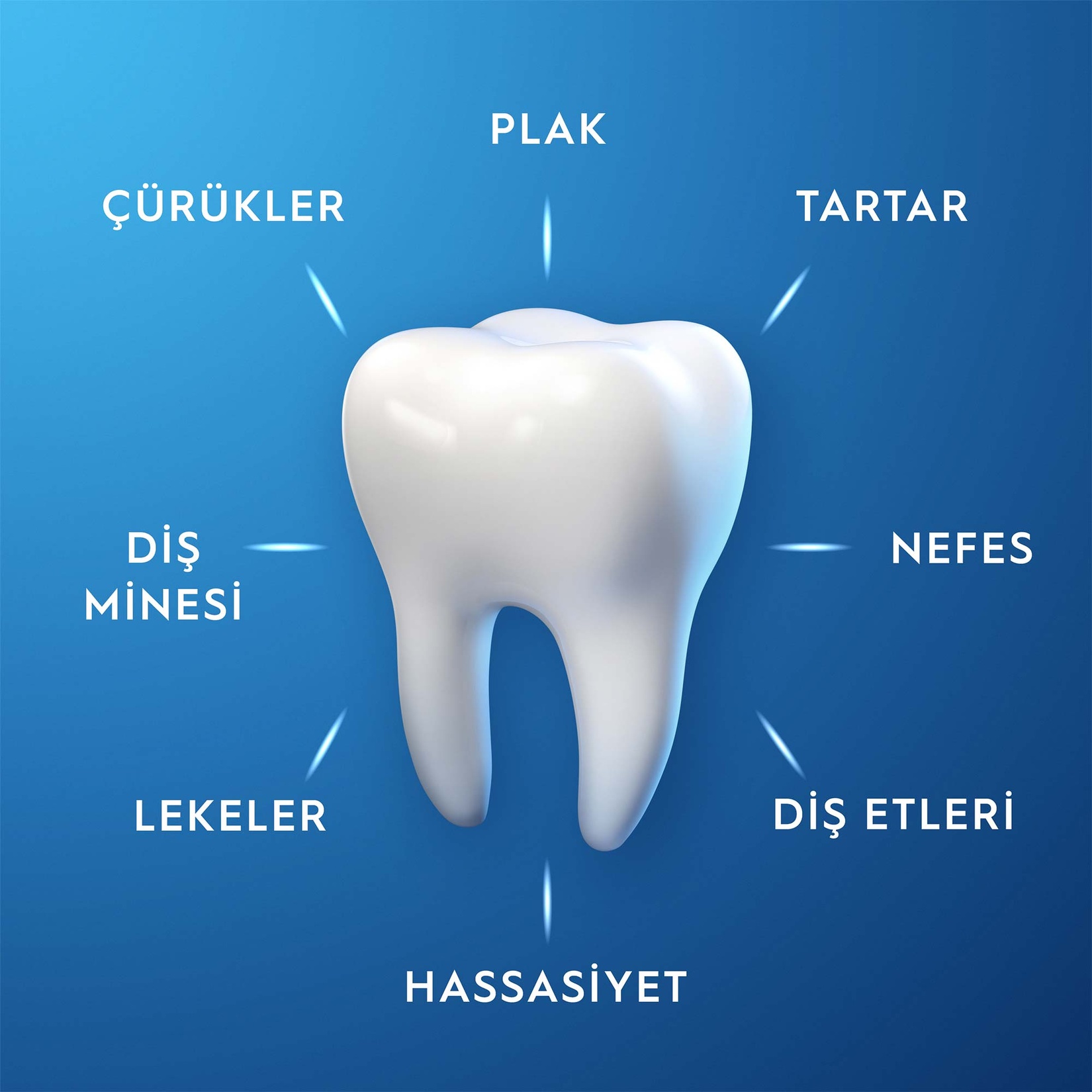 Oral-B Pro-Expert Hassasiyet Diş Macunu 75 Ml - Görsel 3