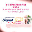 Sıgnal Nat.Elements Macun Clove Sensıtıve 75 Ml - Görsel 3