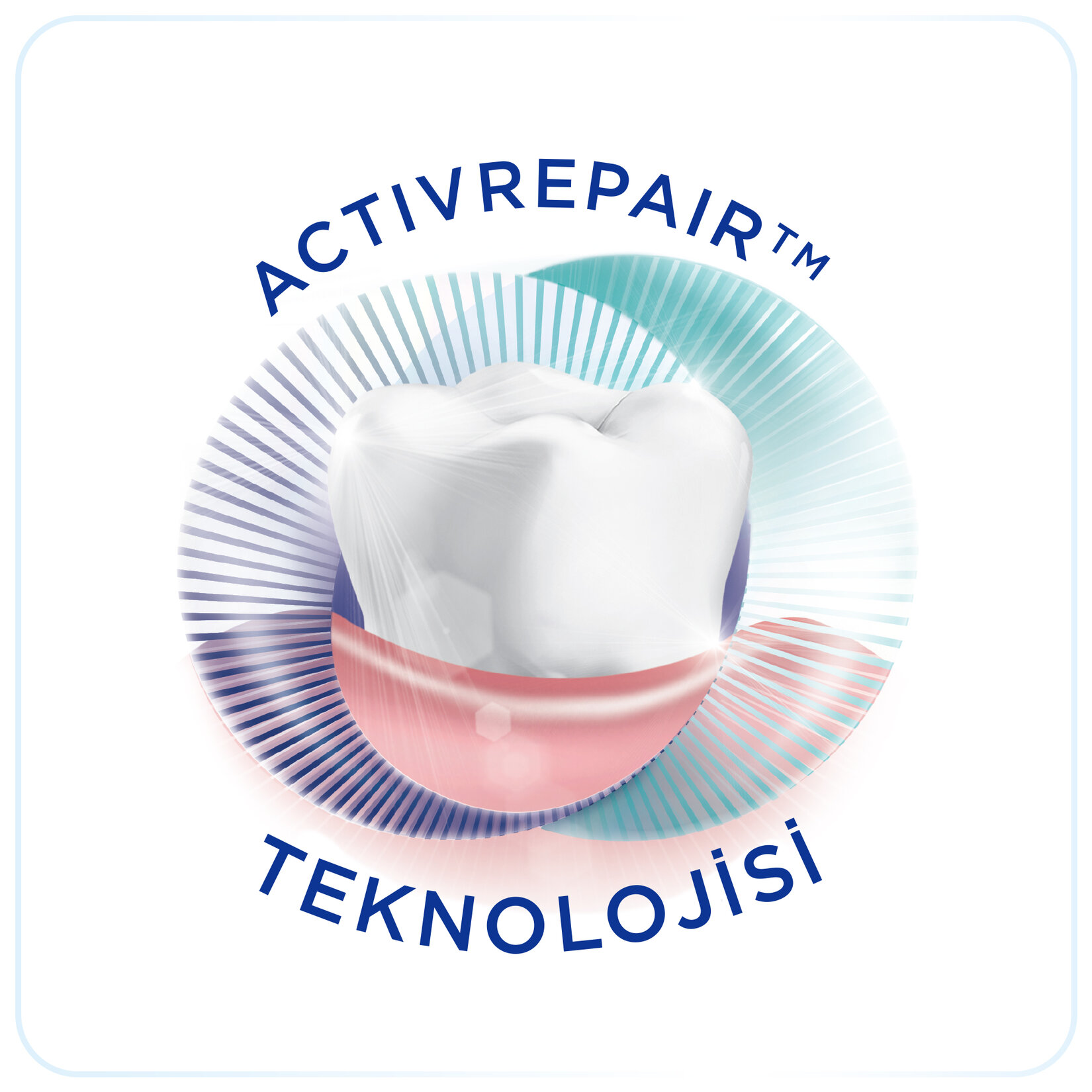 Oral-B Onarım Original Diş Macunu 75 ml - Görsel 3