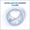 Oral-B Professıonal Pro Onarım Orıgınal 15Ml - Görsel 5