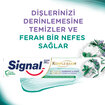 Sıgnal Nature Elements Karbonat Nane Diş Macunu 75Ml - Görsel 3