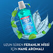 Oral-B Ağız Suyu Komple 500 Ml - Görsel 4