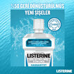 Lısterıne Hassasiyet İçin Geliştirilmiş Koruma 500 Ml - Görsel 4