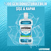 Lısterıne Hassasiyet İçin Geliştirilmiş Koruma 500 Ml - Görsel 5