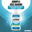 Lısterıne Hassasiyet İçin Geliştirilmiş Koruma 500 Ml - Görsel 2