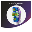 Colgate 360 Gelişmiş Orta Diş Firçasi 1+1 - Görsel 4