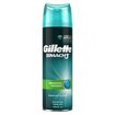 Gillette Series Tıraş Jeli Hassas Cilt (P&S) 200 Ml - Görsel 2