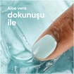 Venus Bikini Bölgesi 3'lü Yedek Bıçak - Görsel 3