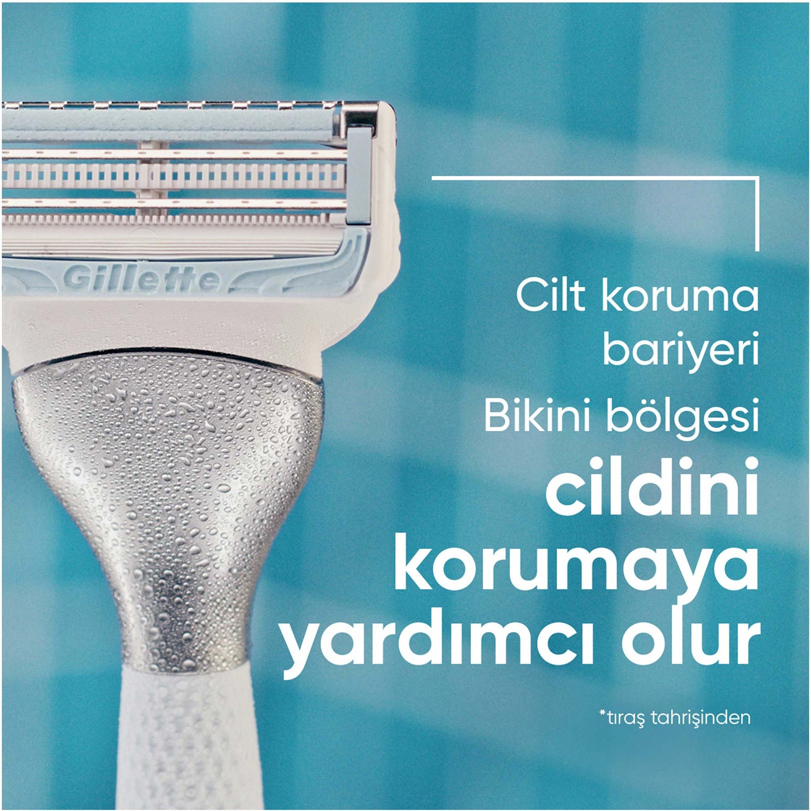Venus Bikini Bölgesi 3'lü Yedek Bıçak - Görsel 5