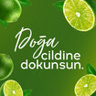 Pure Line Kolonya Misket Limonu 80° 950 Ml - Görsel 4