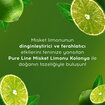 Pure Line Kolonya Misket Limonu 80° 950 Ml - Görsel 5