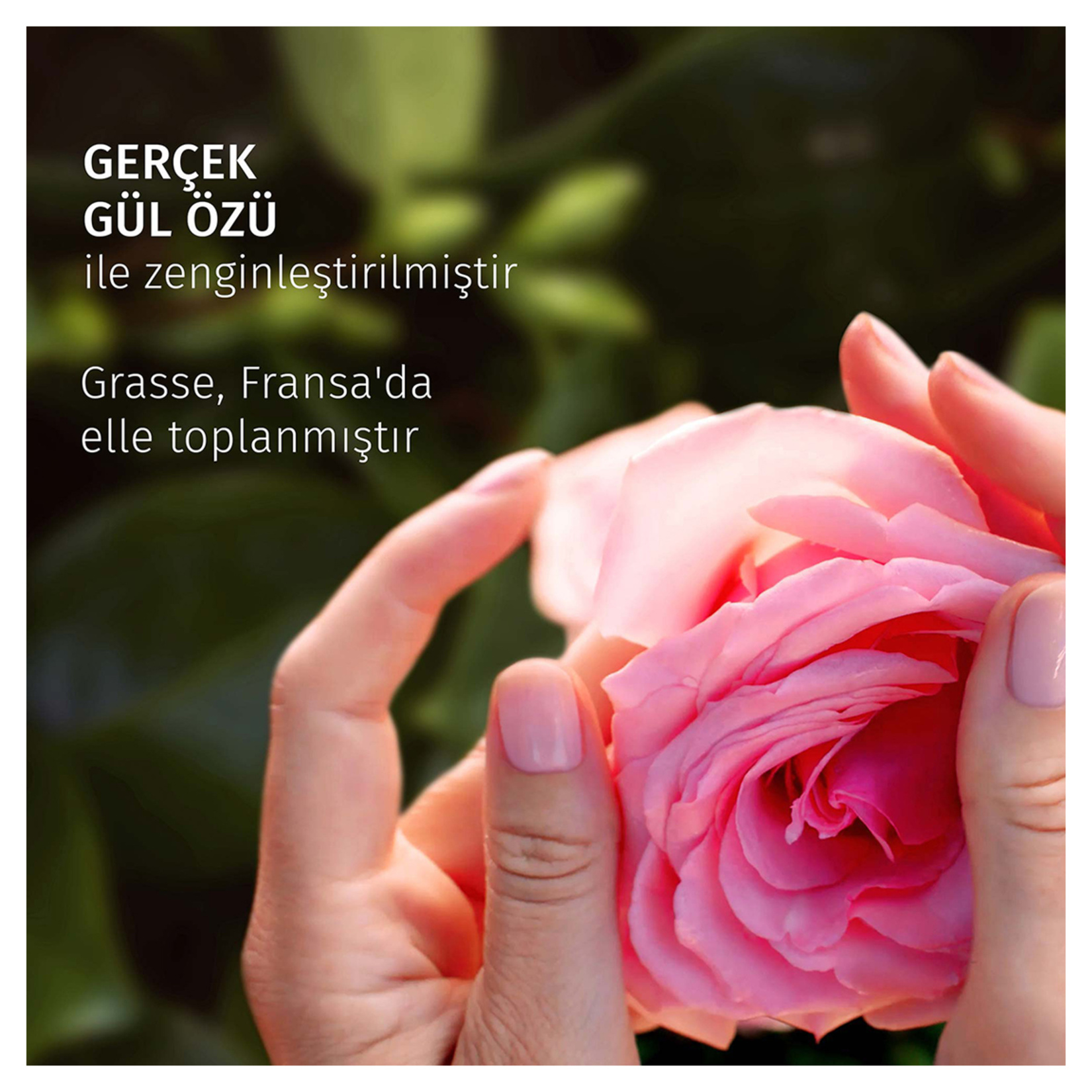 Herbal Essences Kadifemsi Yumuşaklık Gül Kokulu Şampuan 350 Ml - Görsel 3