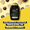 Ogx Kukui Oil Saç Kremi 385 Ml - Görsel 5