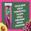 Elidor Saç Bakım Şampuanı Avokado ve Üzüm Çekirdeği 325 ml - Görsel 3