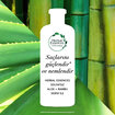 Herbal Essences Şampuan&nbsp;Bamboo 380 ml - Görsel 4