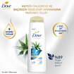 Dove Ultra Care Saç Bakım Şampuanı Kepek Karşıtı Bakım Aloe Vera 400 ml - Görsel 4