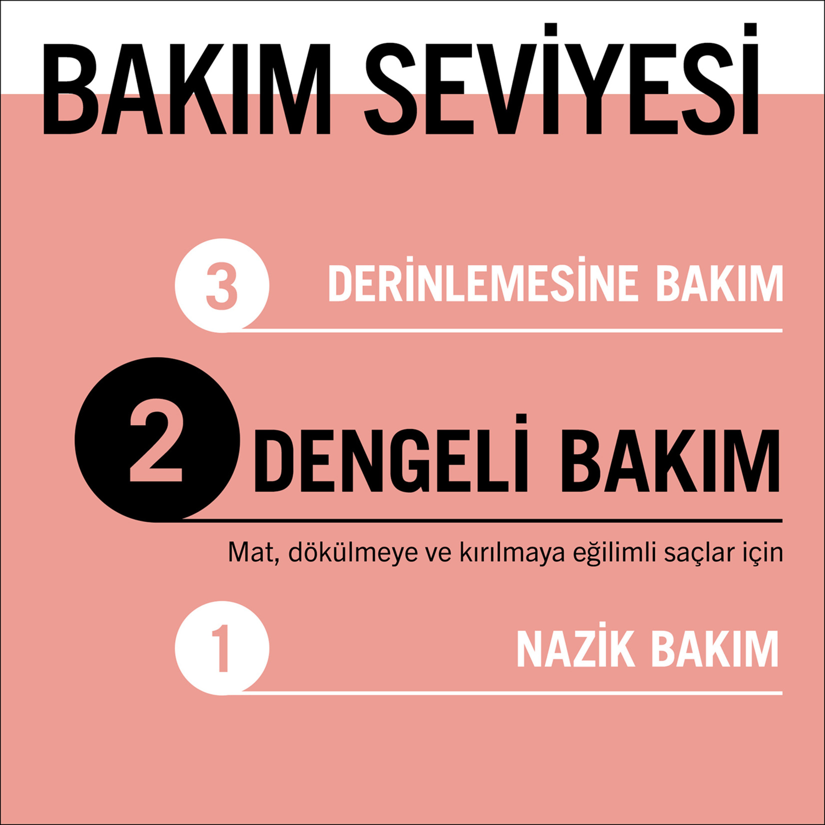 Gliss Split Hair Miracle Şampuan 400 Ml - Görsel 6