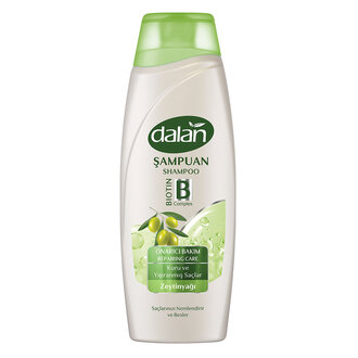 Dalan Onarıcı Bakım Şampuan 450 Ml