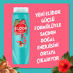 Elidor Saç Bakım Şampuanı Argan Yağı ve Hibiskus Özü 500 ml - Görsel 3