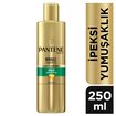 Pantene Miracle Şampuan İpeksi Yumuşaklık Keratin Koruyuculu 250 ml Kuru Mat ve Elektriklenmeye Eğilimli Saçlar İçin - Görsel 2