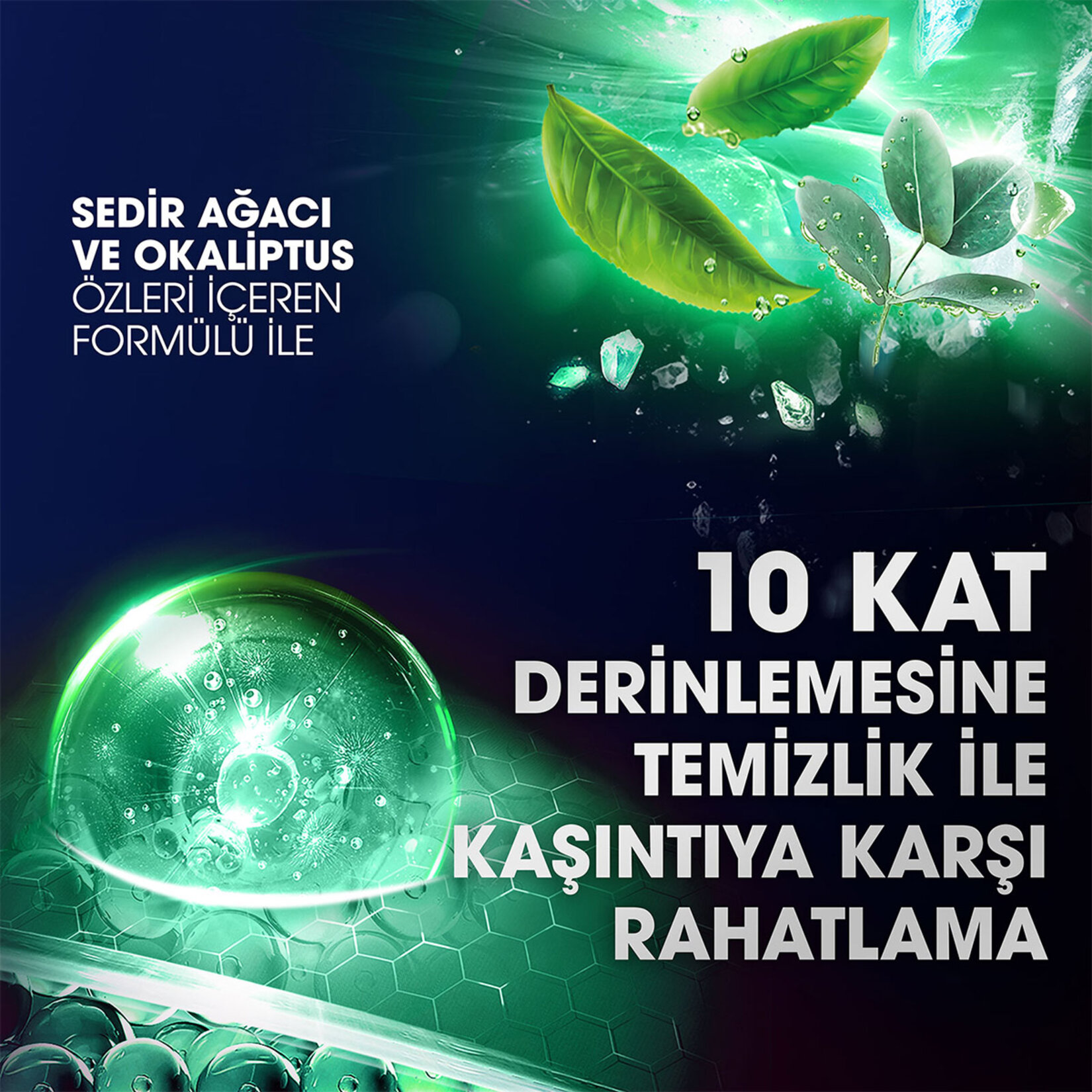 Clear Men Kepeğe Karşı Etkili Şampuan Günlük Arınma ve Ferahlık Sedir Ağacı ve Okaliptus Özleri 350 ml - Görsel 5